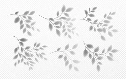 Set of Realistic transparent shadow of a tree branch with leaves isolated on a Illustrazione stock