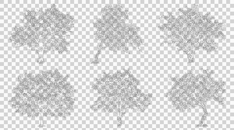 Set of realistic trees in elevation view isolated on transparent background.. Stock Illustration