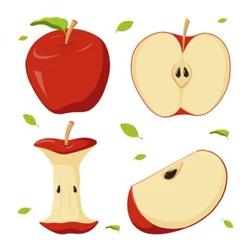 A set of red apples in different positions. Whole fruit, a half, a core. Vect Stock Illustration