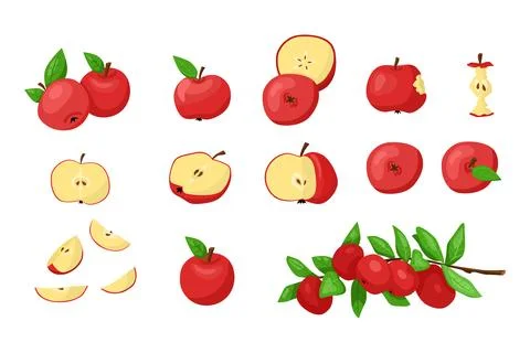 Set of red apples elements. Vector clipart illustration Stock Illustration