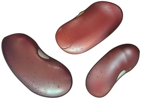 Set of Red Beans Stock Illustration