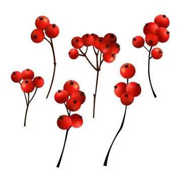 Set of red berries for decorating the New Year's wreath and garlands Stock Illustration