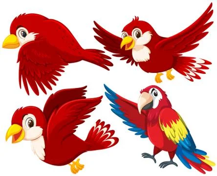 Set of red bird Illustrazione stock