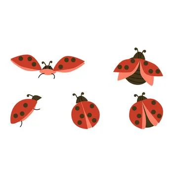 Set of red bugs and beetles flying - vector illustration Stock Illustration