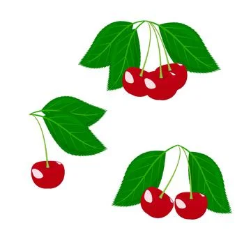 Set of red cherries with green leaves. White background. Stock Illustration