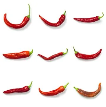 Set of red chili pepper isolate on white with clipping path Stock Photos