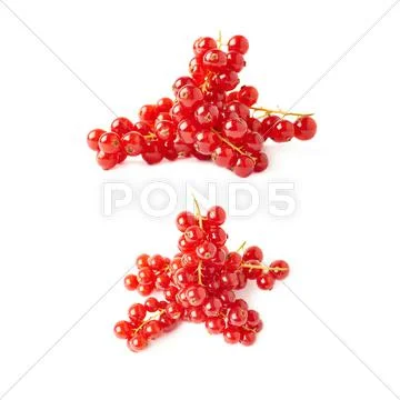Set of Red Currant isolated over white background Stock Photos