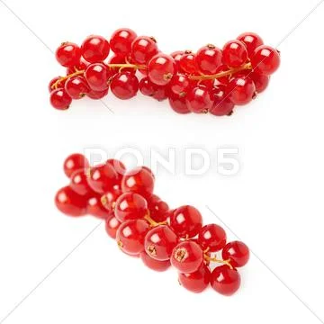 Set of Red Currant isolated over white background Stock Photos