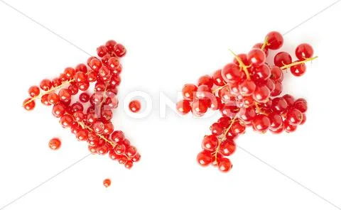 Set of Red Currant isolated over white background Stock Photos