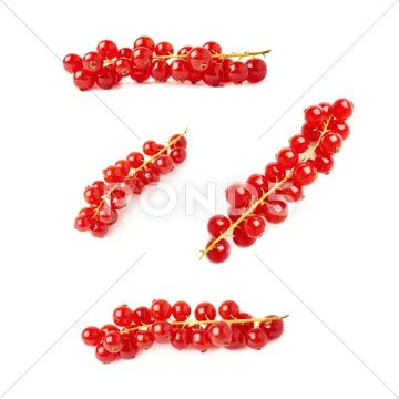 Set of Red Currant isolated over white background Stock Photos
