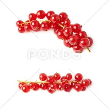 Set of Red Currant isolated over white background Stock Photos