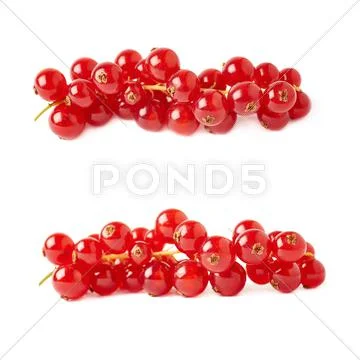 Set of Red Currant isolated over white background Stock Photos