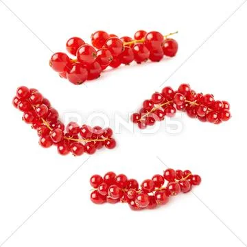 Set of Red Currant isolated over white background Stock Photos
