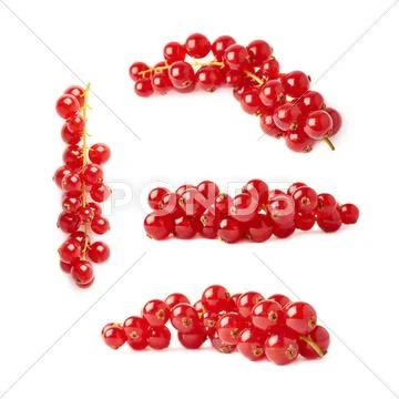 Set of Red Currant isolated over white background Stock Photos