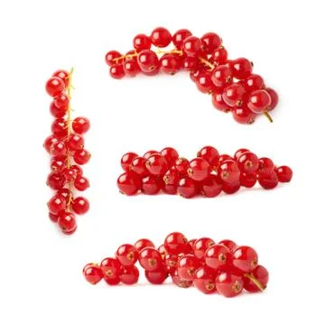 Set of Red Currant isolated over white background Stock Photos