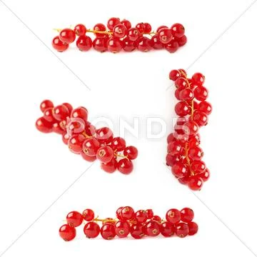 Set of Red Currant isolated over white background Stock Photos