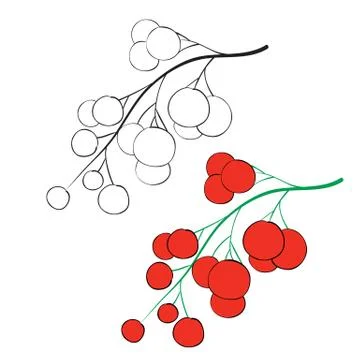 Set of red currants painted with black lines and painted, isolated object on a 스톡 일러스트
