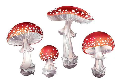Set of red fly agaric Stock Illustration