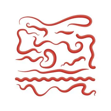 Set of Red Ketchup Splashes. Tomato Sauce for Barbecue. Food Condiment and Spice Ilustración de archivo