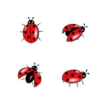 Set of red ladybug isolated on white Stock-Illustration