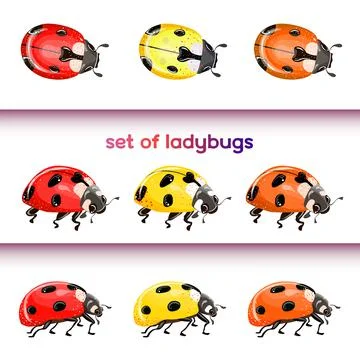 Set of red ladybug isolated on white. Multicolored beetles. Vector illustrati Stock Illustration
