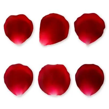 Set of red rose petals Stock Illustration
