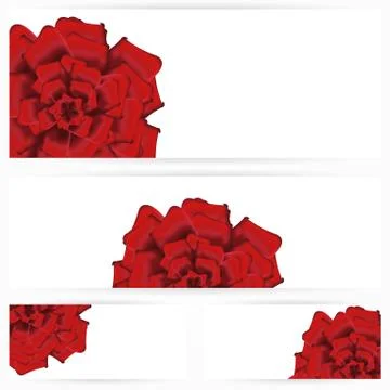 Set of red roses isolated on white background Stock Illustration