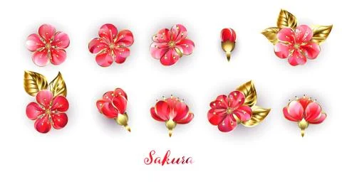 Set of red sakura flowers Stock Illustration