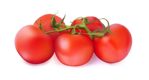 Set of red tomatoes on a white background. Vector illustration Stock Illustration