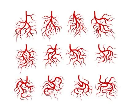 Set of red veins isolated on white background. Red blood vessel collection,.. Stock Illustration