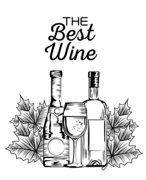 Set red wine bottles Stock Illustration