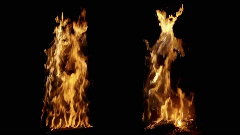 Set of rel fire elements isolated on black  seamless loop. Stock Footage 113263873