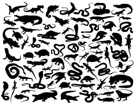 Set of reptile vector silhouettes Stock Illustration