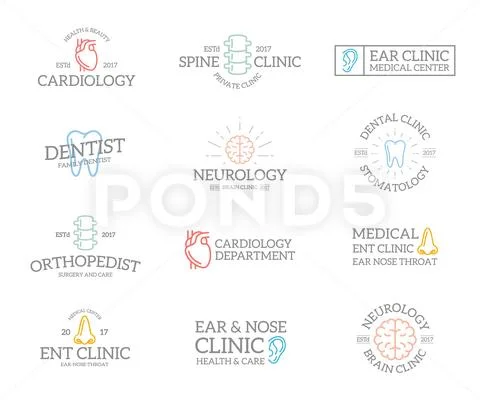 Set of retro vintage organ and anatomy logo or insignia, emblems, labels and Stock Illustration