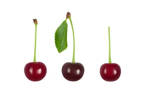 Set of ripe cherries on a white background. Cherry isolated. Fresh berries cl Stock Photos