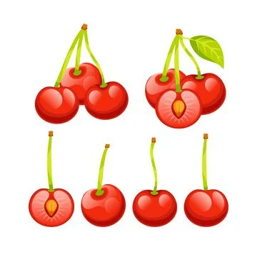 Set of ripe red cherries, some showing their succulent flesh and stone, perfect Illustration