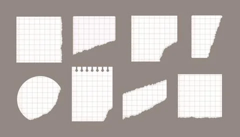 Set of ripped white lined, checkered notebook paper pieces vector illustrations. Stock Illustration