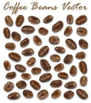 Set of roasted coffee beans elements vector and shadow on white background . Illustrazione stock