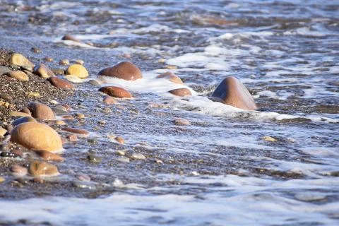 Set of rocks on the shore of the beach Stock Photos