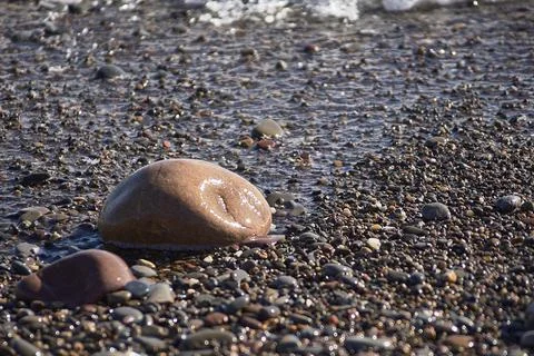 Set of rocks on the shore of the beach Stock Photos