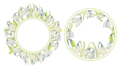 Set of romantic spring frames with snowdrops on the outer and inner edges on a Illustrazione stock