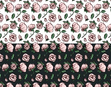 Set of rose patterns isolated line art doodle with leaf element, vector flo.. Stock Illustration