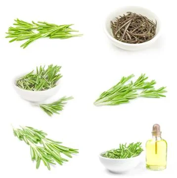 Set of rosemary isolated on a white background Foto stock