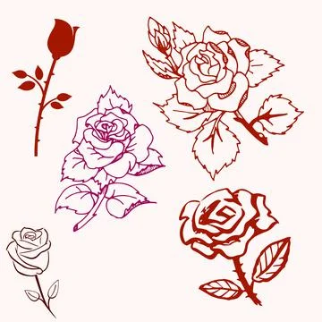 Set of roses, pattern of roses, illustrations rose pattern with pink background. Stock Illustration