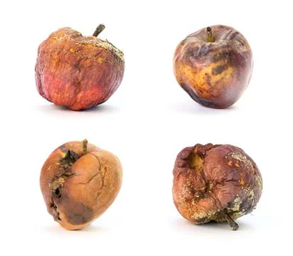 Set of rotten apples Stock Photos