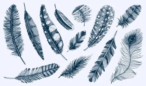 Set of Rustic realistic feathers of different birds, owls, peacocks, ducks Stock Illustration