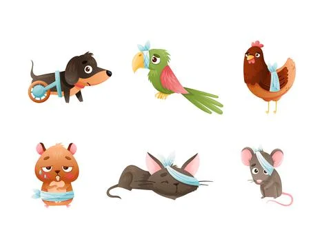Set of sad sick animals. Unhappy dog, parrot, hen, hamster, cat, mouse wounded Stockillustratie