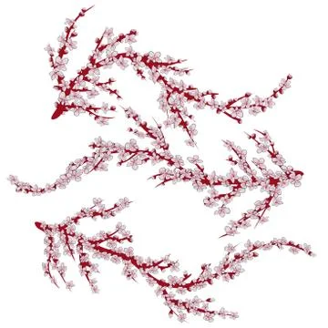 Set sakura branch, vector illustration eps 10. Stock Illustration