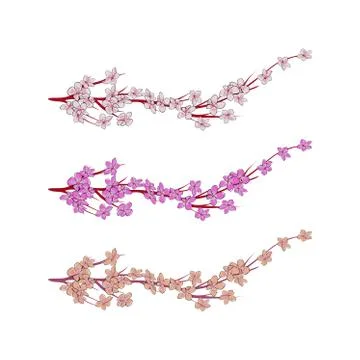 Set of Sakura branches with flowers, cherry blossom, vector illustration. Stock Illustration