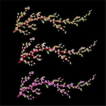 Set of Sakura branches with flowers, cherry blossom, vector illustration. Stock Illustration